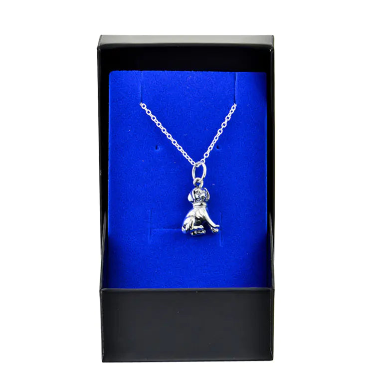 925 Silver Women's Necklace with Pendant